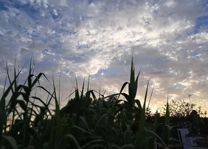 El Ronco. アパート